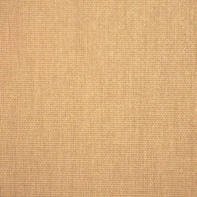 Store Enrouleur Filtrant Beige 4221