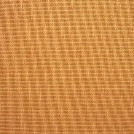 Store Enrouleur Filtrant Marron Clair 4207