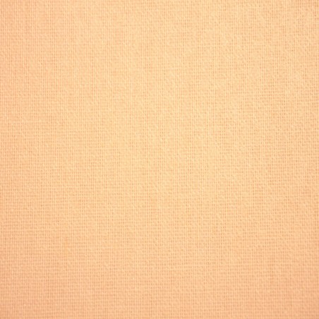 Panneaux Japonais Filtrant Beige 4205