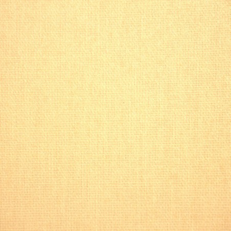 Panneaux Japonais Filtrant Beige 4206