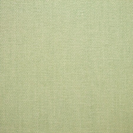 Panneaux Japonais Filtrant Vert Clair 4219