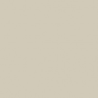 Gris Clair 1007