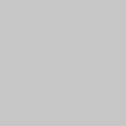Gris Mat 1204