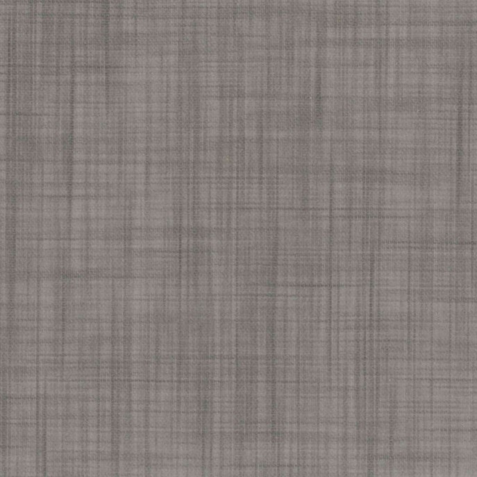 Filtrant Transparent Gris 3823