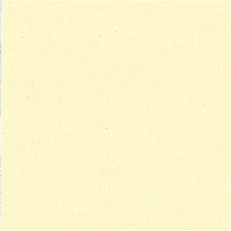 Bandes Seules Occultant Vanille 3521