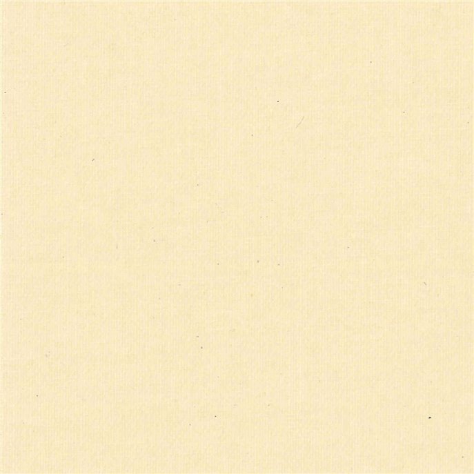 Panneaux Japonais Occultant Beige 4725