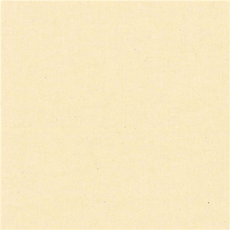 Panneaux Seuls Occultant Beige 4725